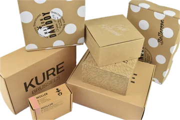 Consegna express Scatole in Zwijnaarde BE